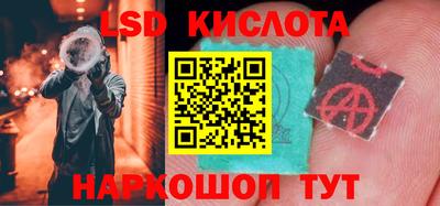 прущие грибы Можайск