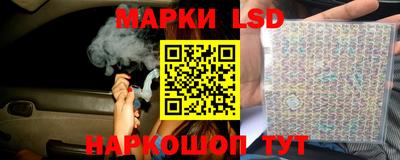 прущие грибы Можайск