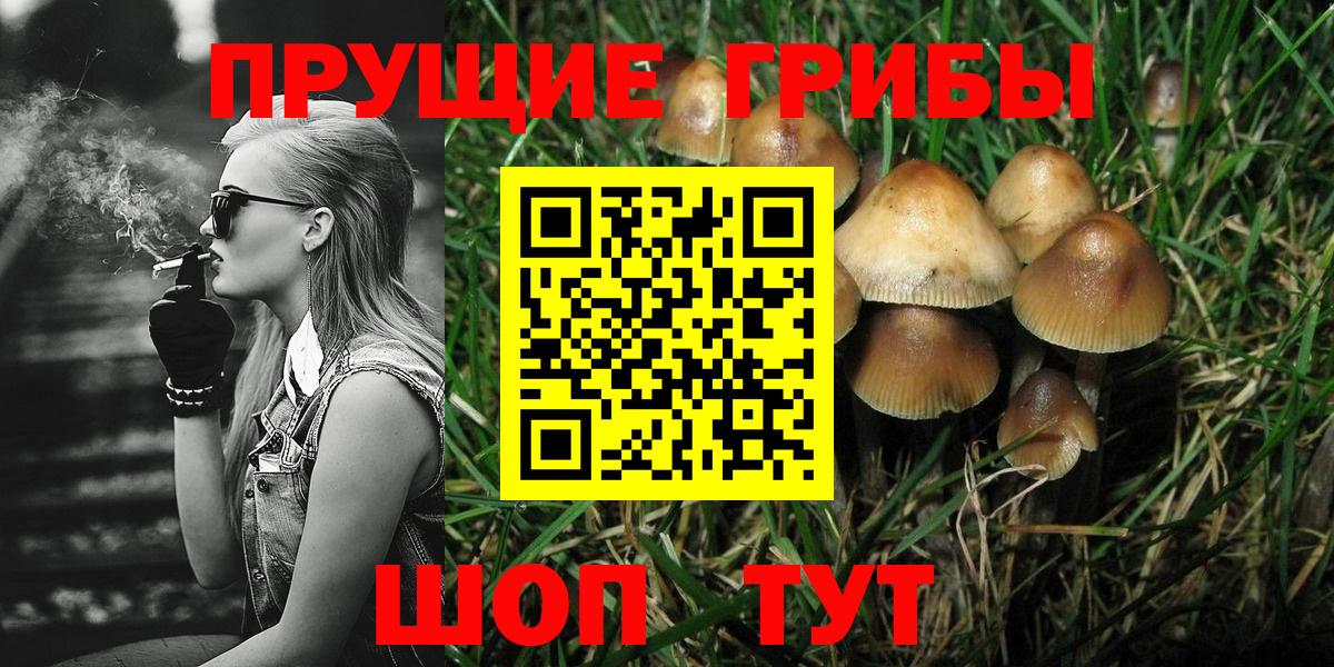 Галлюциногенные грибы Magic Shrooms Ростов-на-Дону