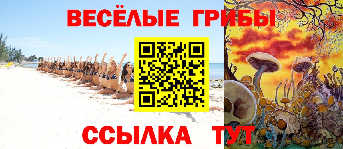 Псилоцибиновые грибы прущие грибы  Вход с VPN  Ростов-на-Дону 