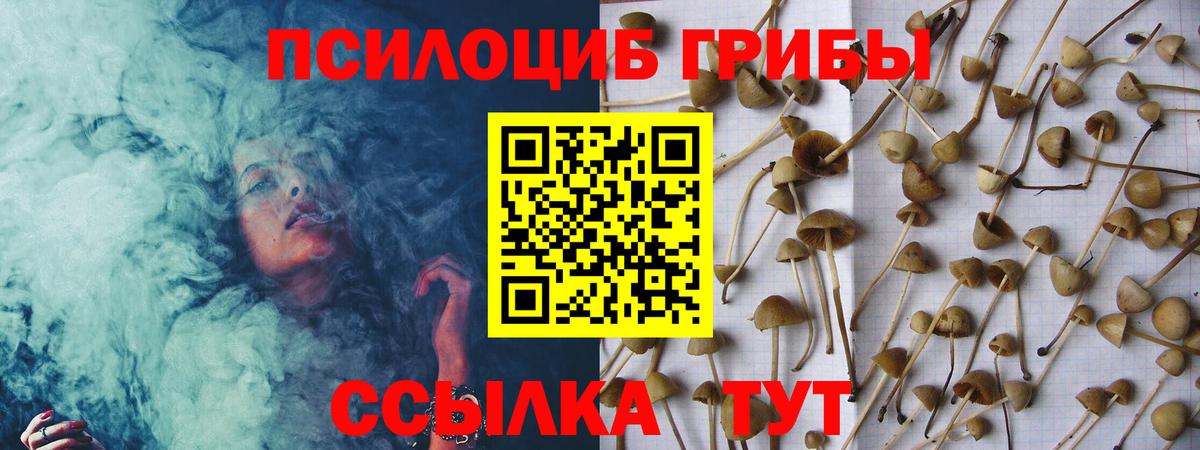 Ростов-на-Дону  Псилоцибиновые грибы MAGIC MUSHROOMS  Вход с VPN 